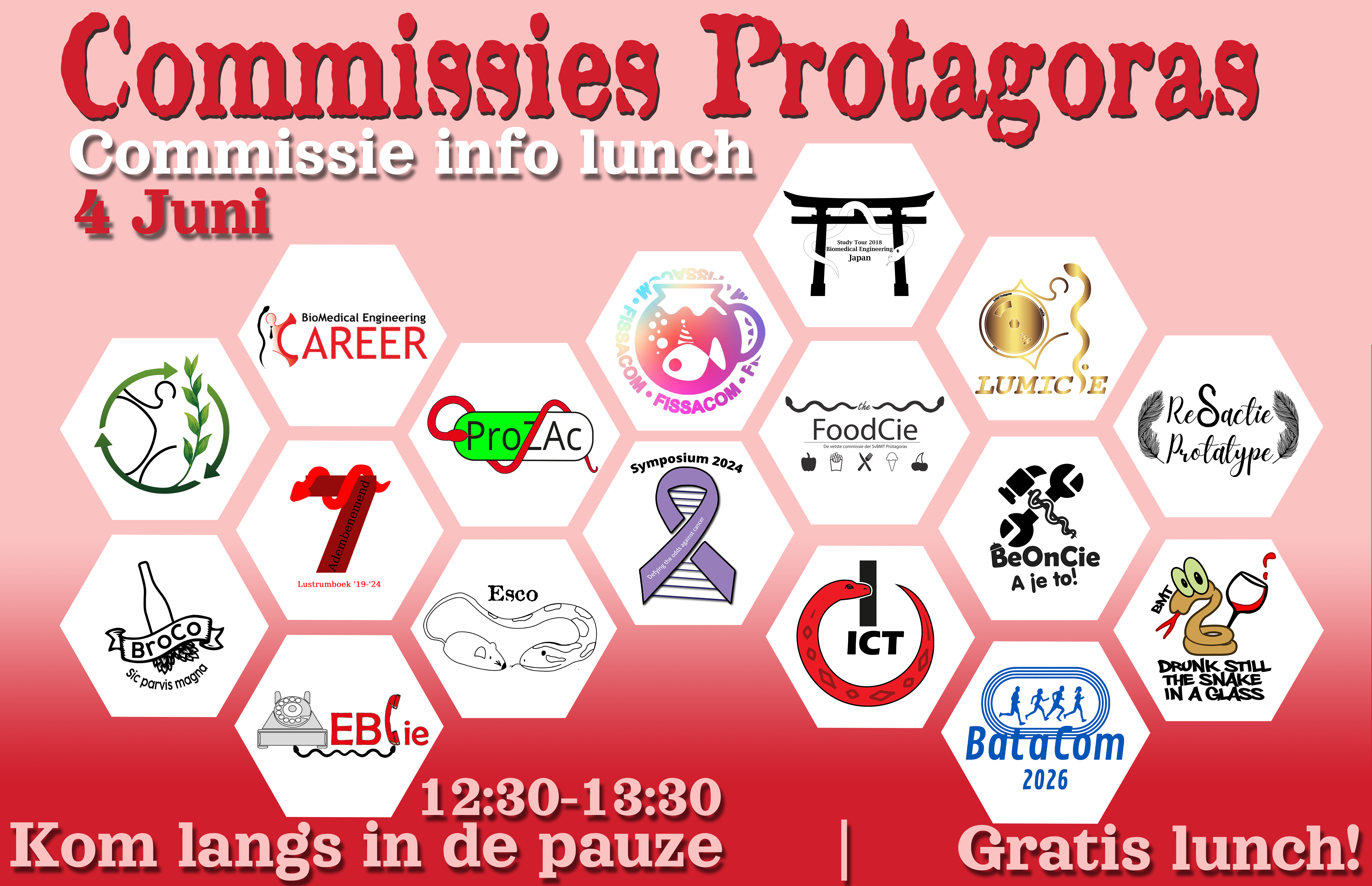 Commissie infolunch